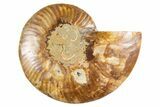 Cut & Polished Ammonite Fossil (Half) - Deep Crystal Pockets #345997-1